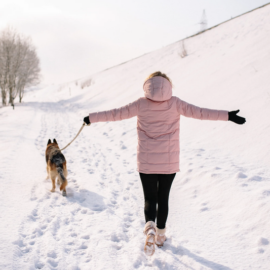 Your Guide to a Stress-Free Walk