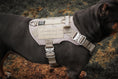 Load image into Gallery viewer, HNTR 3.0 Dog Harness - Beach
