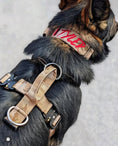 Load image into Gallery viewer, Terrain Dog Airtag Harness - Desert Camo
