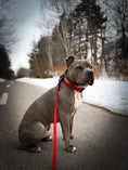 Load image into Gallery viewer, TRUEGRIP Dog Leash - Apple
