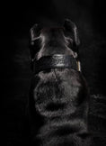 Load image into Gallery viewer, 2" Leather Dog Collar - Nero Milano
