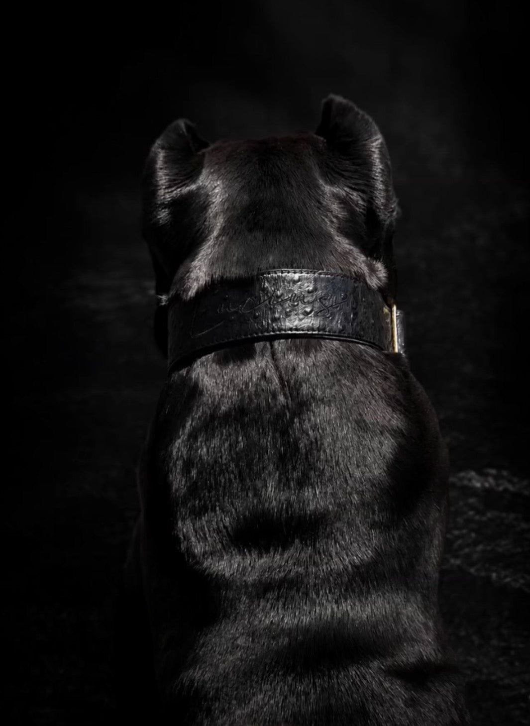 2" Leather Dog Collar - Nero Milano