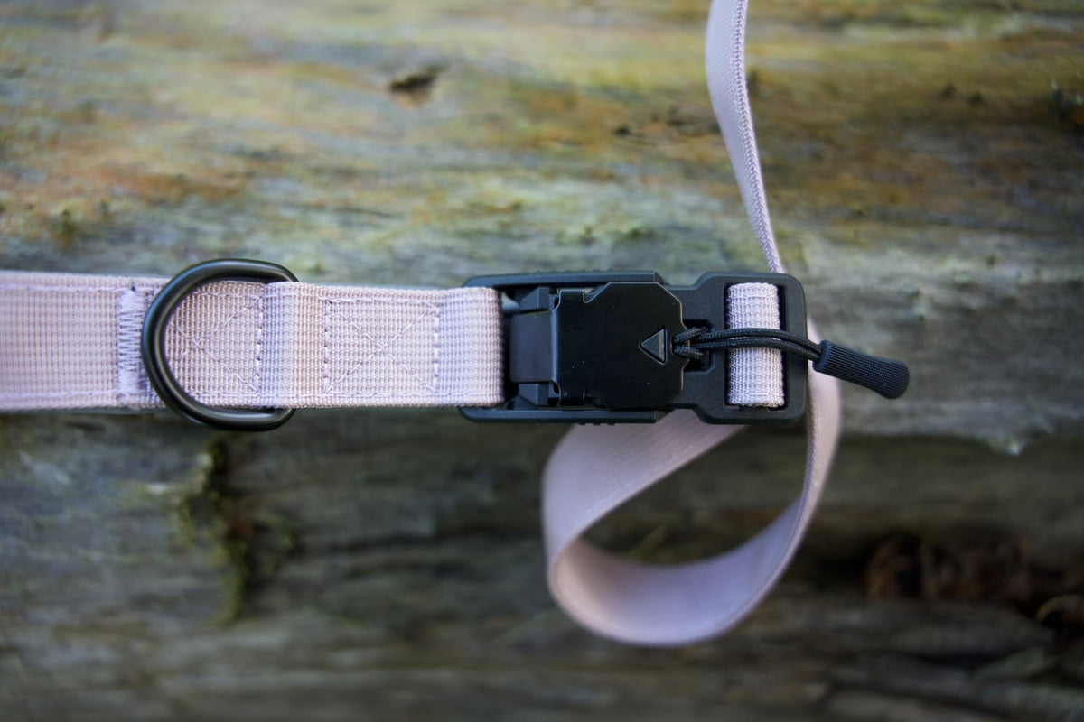 Hands Free Running Dog Leash - Sofia