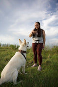 Load image into Gallery viewer, Hands Free Running Dog Leash - Chocolate
