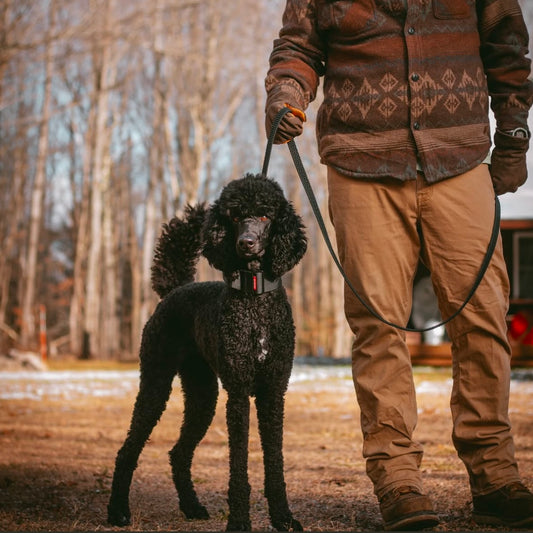 TRUEGRIP Dog Leash - Black