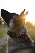 Load image into Gallery viewer, Expedition Dog Collar - Olive
