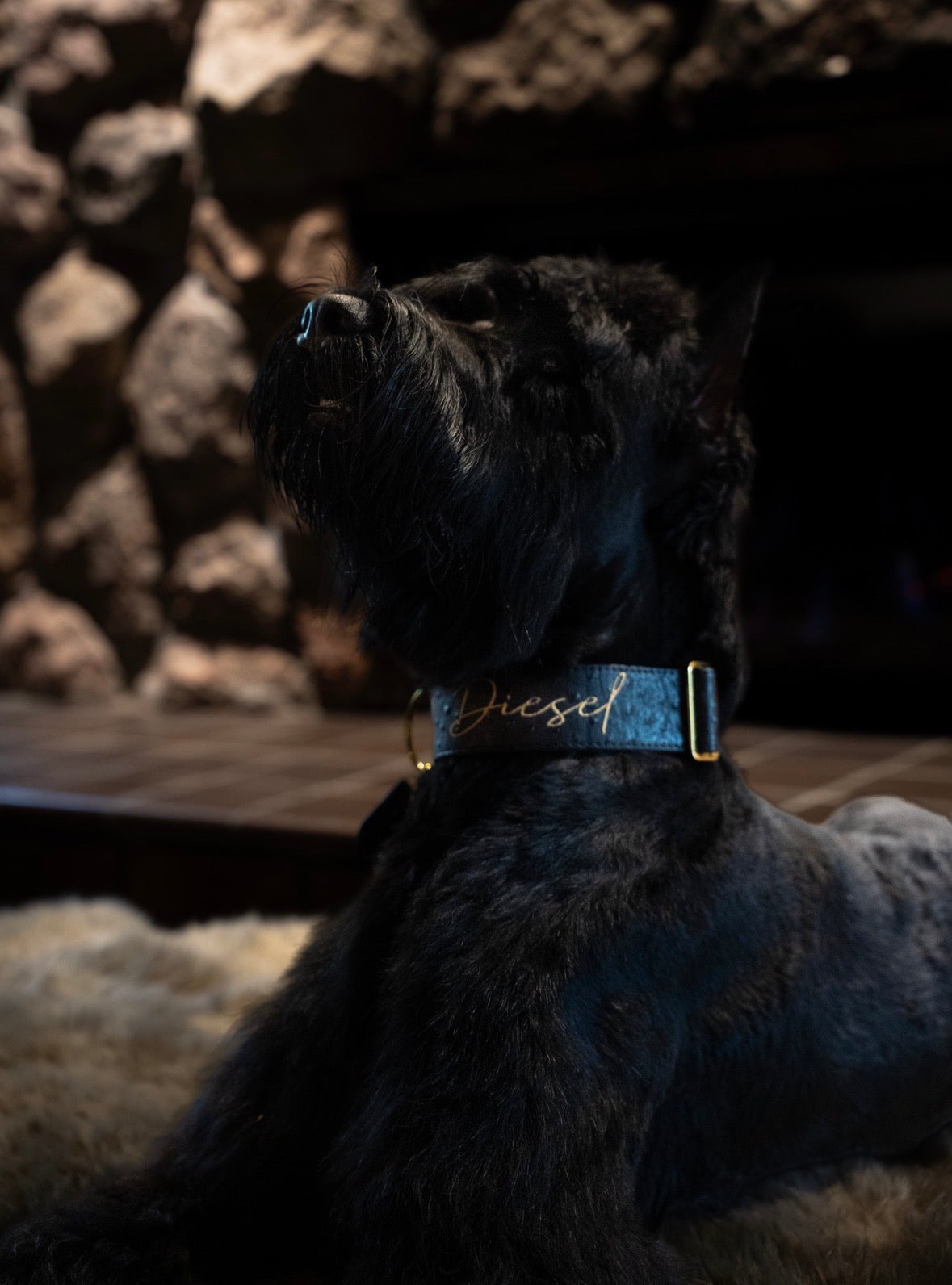 2" Leather Dog Collar - Nero Milano