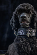 Load image into Gallery viewer, Expedition Dog Collar - Black
