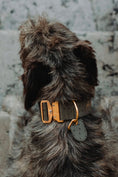 Load image into Gallery viewer, 2" Leather Dog Collar - Pietra D'Argento
