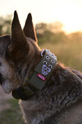 Load image into Gallery viewer, Expedition Dog Collar - Olive
