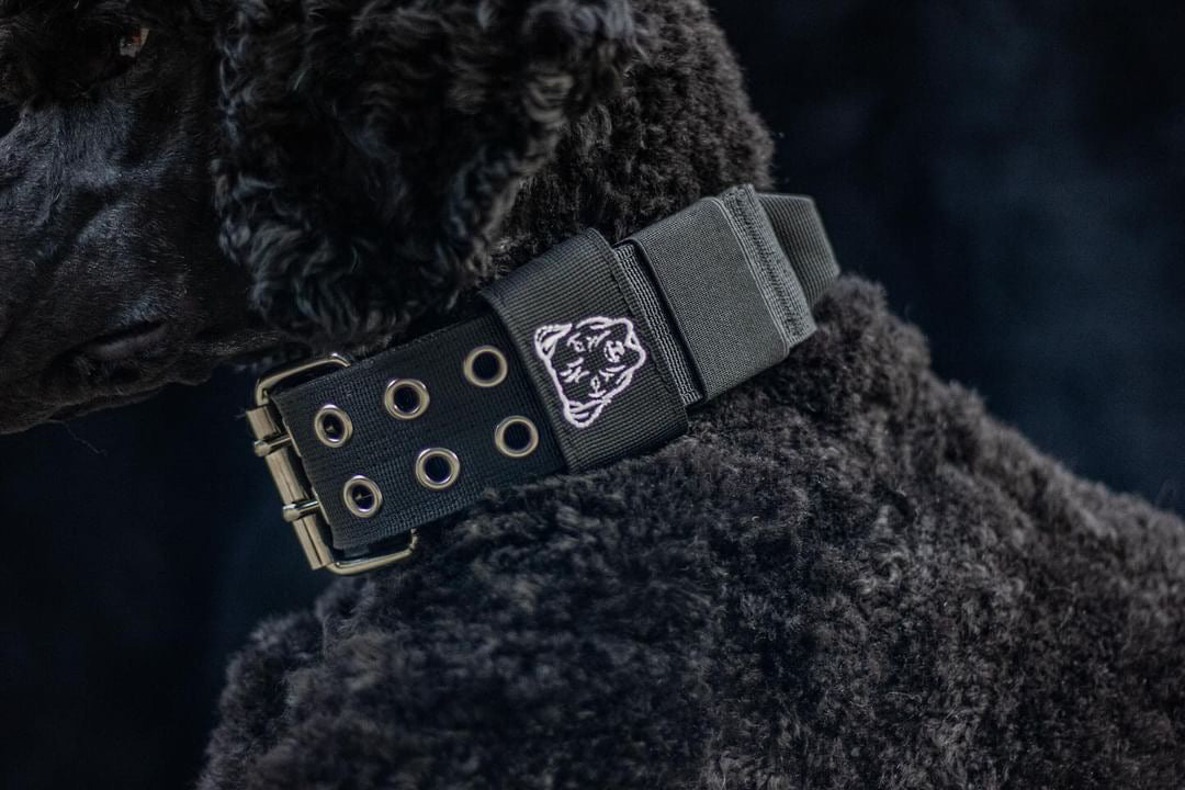 Expedition Dog Collar - Black