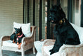 Load image into Gallery viewer, 2" Leather Dog Collar - Nero Milano
