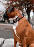 Load image into Gallery viewer, 1.5" Tacti Slim Dog Collar- Halloween
