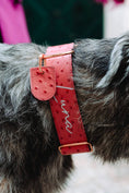 Load image into Gallery viewer, 2" Leather Dog Collar - Rosa Bellagio
