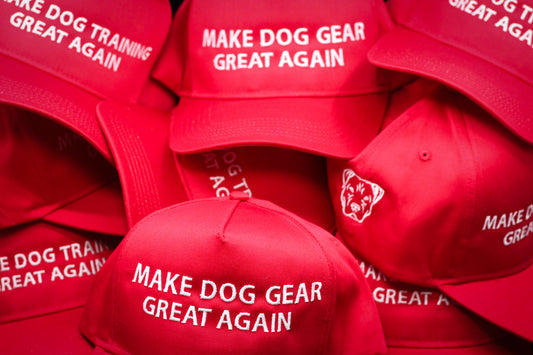 The Great Again SnapBack