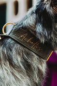 Load image into Gallery viewer, 2" Leather Dog Collar - Pietra D'Argento
