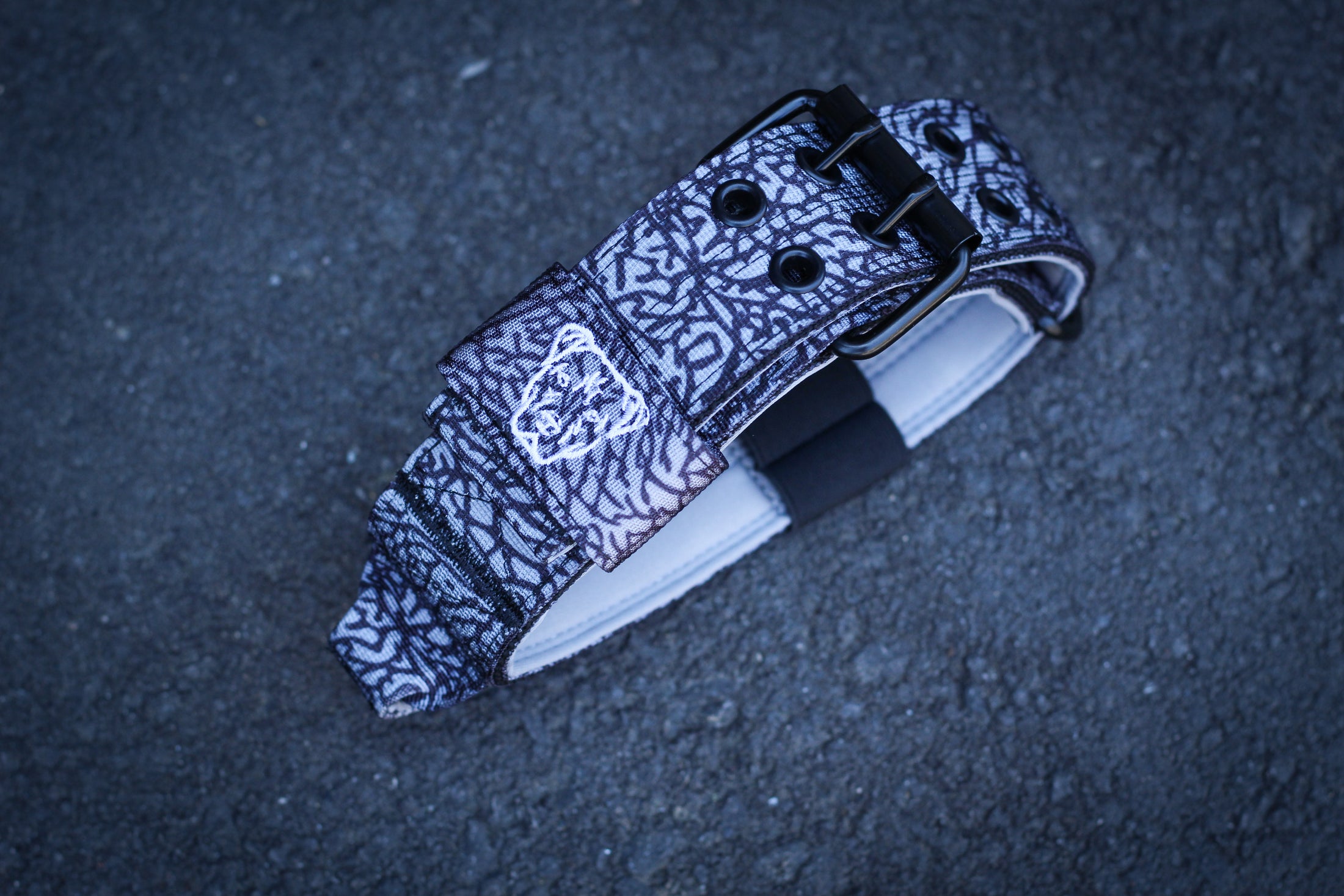 Expedition Dog Collar - Cement (Limited Edition)