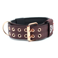 Load image into Gallery viewer, Expedition Dog Collar - Chocolate
