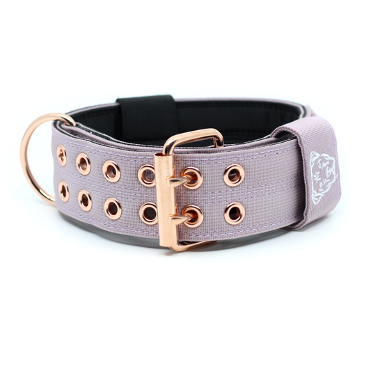 Expedition Dog Collar - Sofia