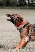 Load image into Gallery viewer, Terrain Dog Airtag Harness - Tattoo

