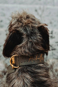 Load image into Gallery viewer, 2" Leather Dog Collar - Pietra D'Argento
