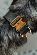 Load image into Gallery viewer, 2" Leather Dog Collar - Pietra D'Argento
