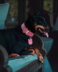 Load image into Gallery viewer, 2" Leather Dog Collar - Rosa Bellagio
