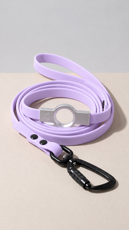 Biothane Flat Leash - Bright Teal