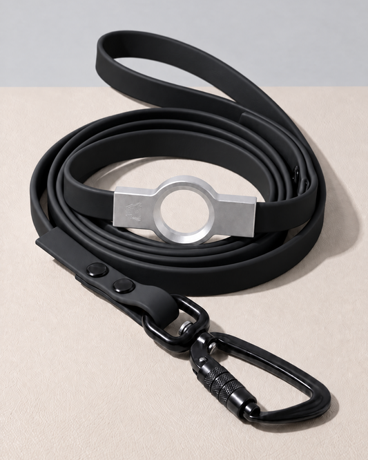 Biothane Flat Leash - Black