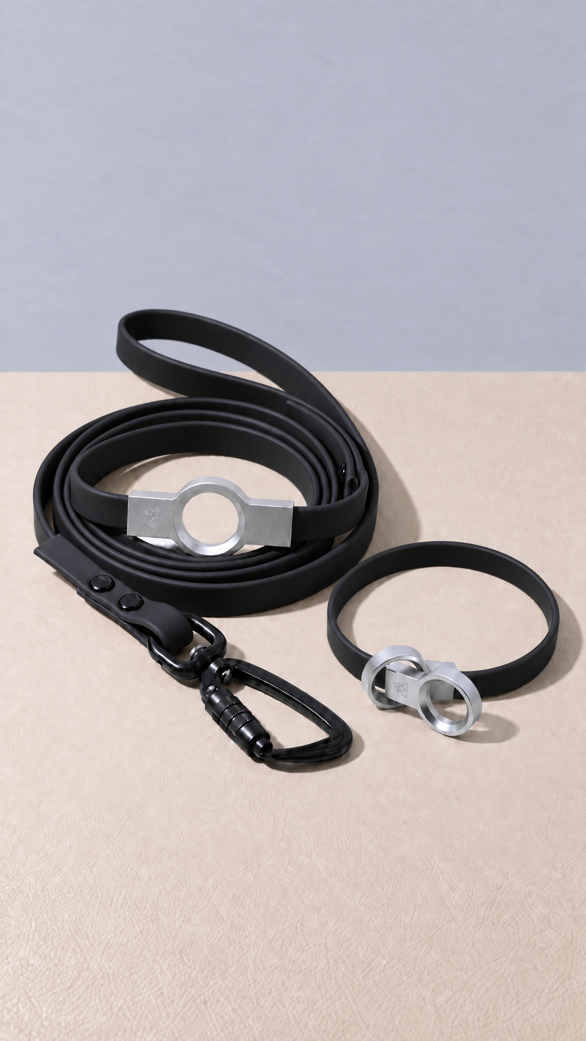 Biothane Flat Leash - Black