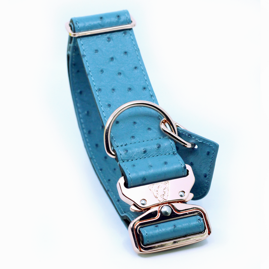 2" Leather Dog Collar - Lago Azzurro