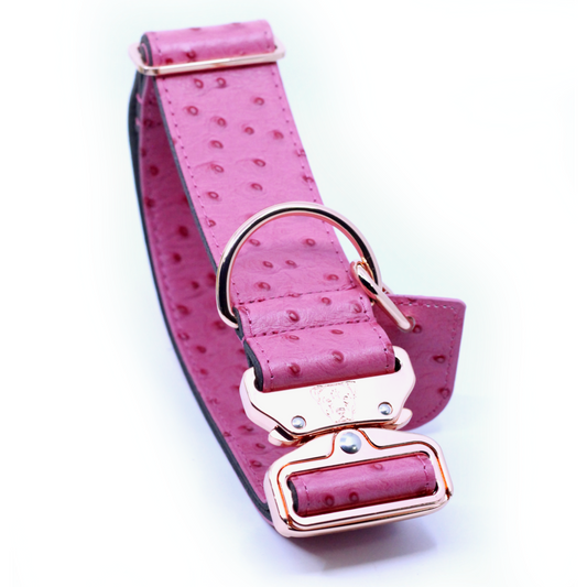 2" Leather Dog Collar - Rosa Bellagio