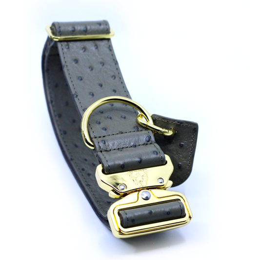 2" Leather Dog Collar - Pietra D'Argento