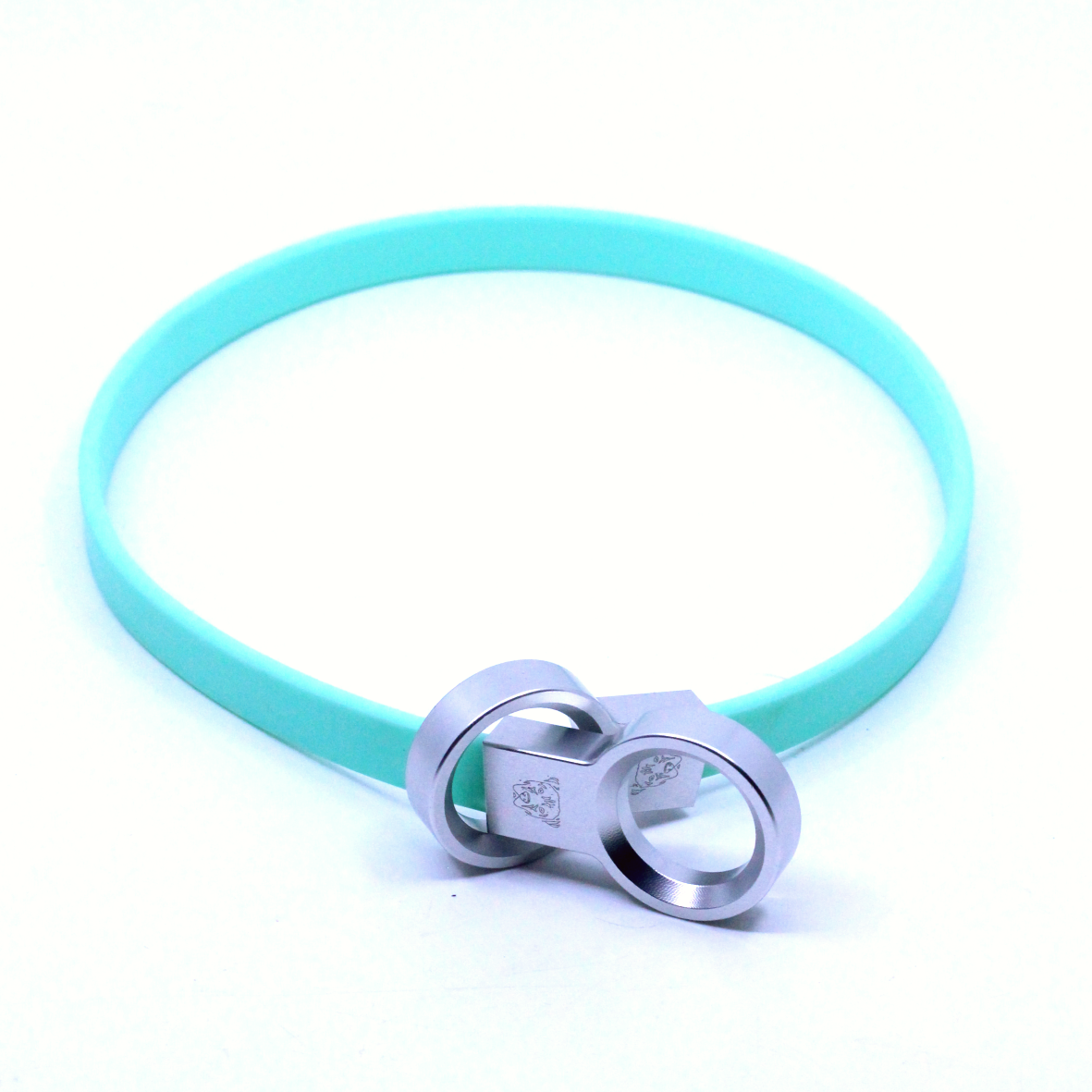 Biothane Slip Collar - Bright Teal