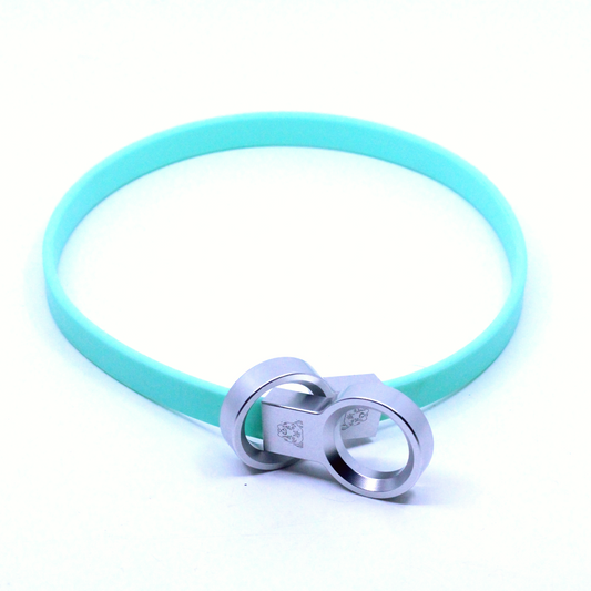 Biothane Slip Collar - Bright Teal