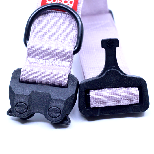 1.5" Tacti Lite Dog Collar - Sofia (no handle)