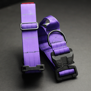
                  
                    Load image into Gallery viewer, 1.5&amp;quot; Limited Edition 2024 Season T.O. Tacti Lite Basketball Dog Collar Set
                  
                