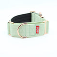 Load image into Gallery viewer, 2" Luxe Martingale Dog Collar - Rose Gold - Honeydew
