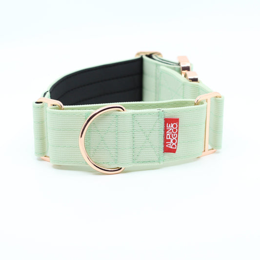 2" Luxe Martingale Dog Collar - Rose Gold - Honeydew