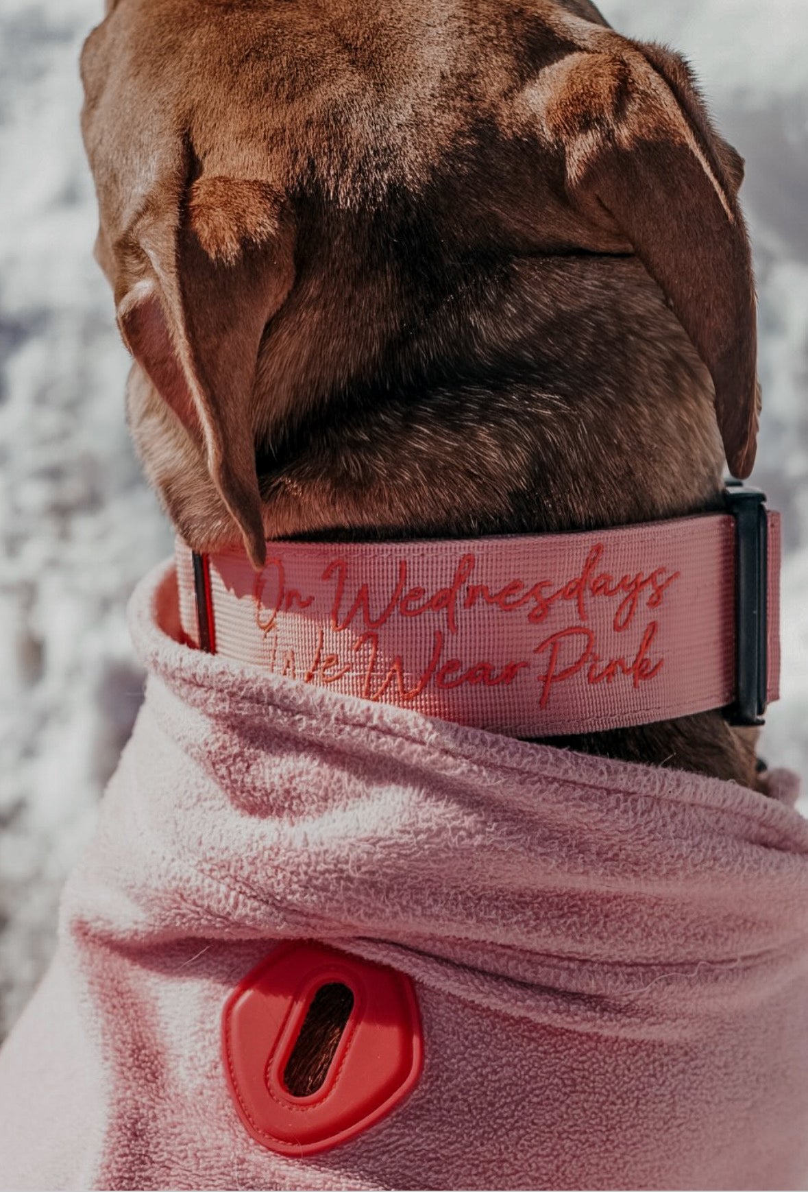 2" Tactik Dog Collar - Bubblegum