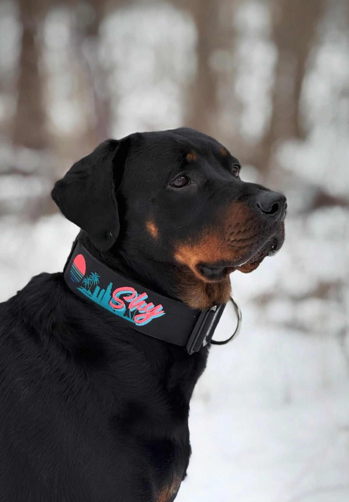 2" Tactik Dog Collar - Black