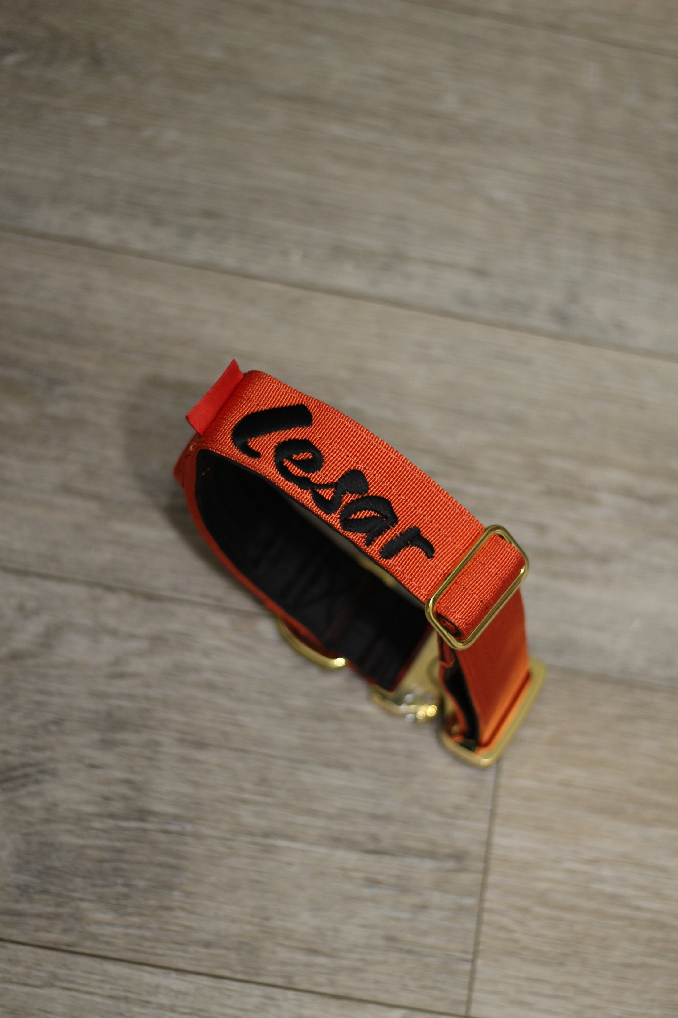 1.5" Tacti Dog Collar Slim Luxe - Gold - Cognac