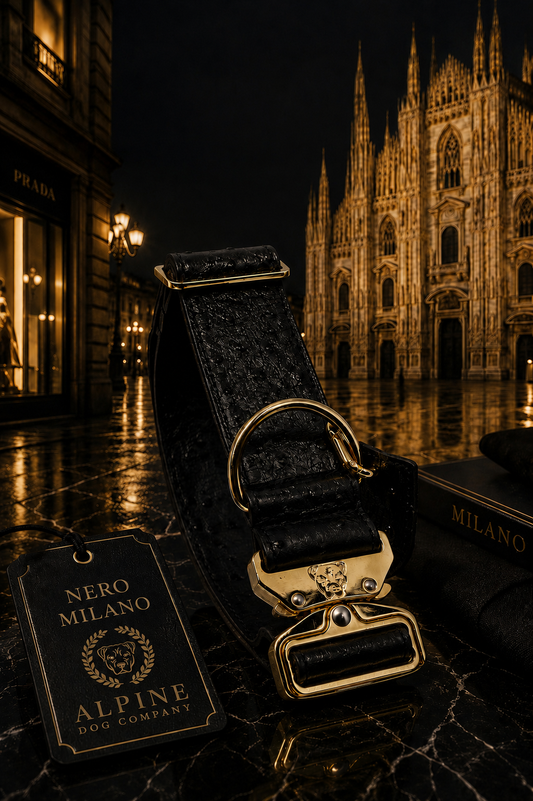 2" Leather Dog Collar - Nero Milano
