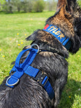 Load image into Gallery viewer, Terrain Dog Airtag Harness - Cobalt
