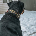 Load image into Gallery viewer, 2" Tacti Luxe Dog Collar - Gold Noir
