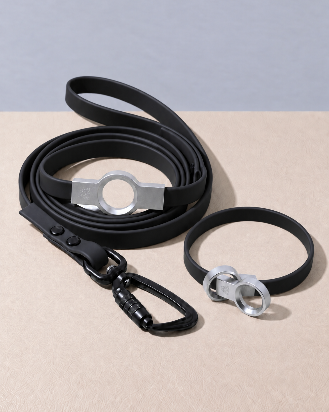 black biothane collar and leash set