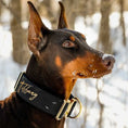 Load image into Gallery viewer, 2" Tacti Luxe Dog Collar - Gold Noir
