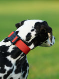 Load image into Gallery viewer, 1.5" Tacti Lite Dog Collar - Cognac (no handle)
