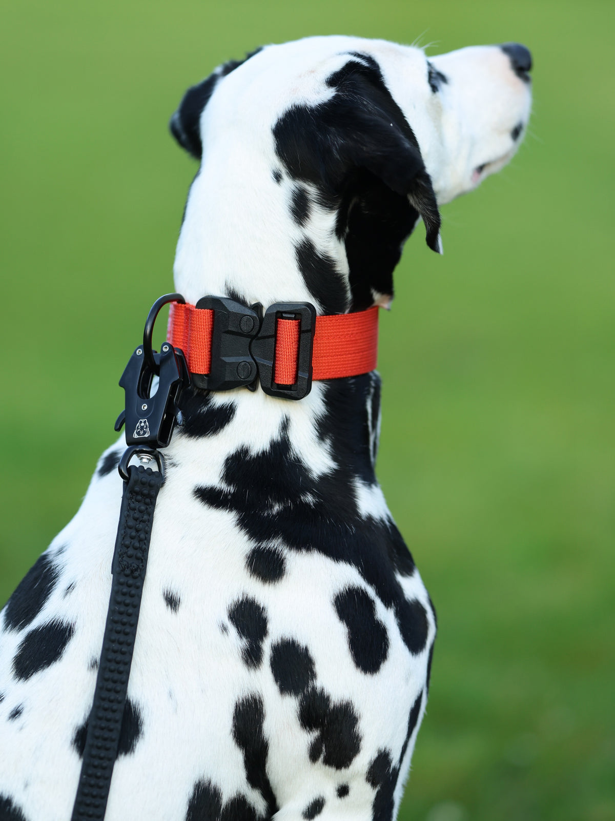 1.5" Tacti Lite Dog Collar - Cognac (no handle)