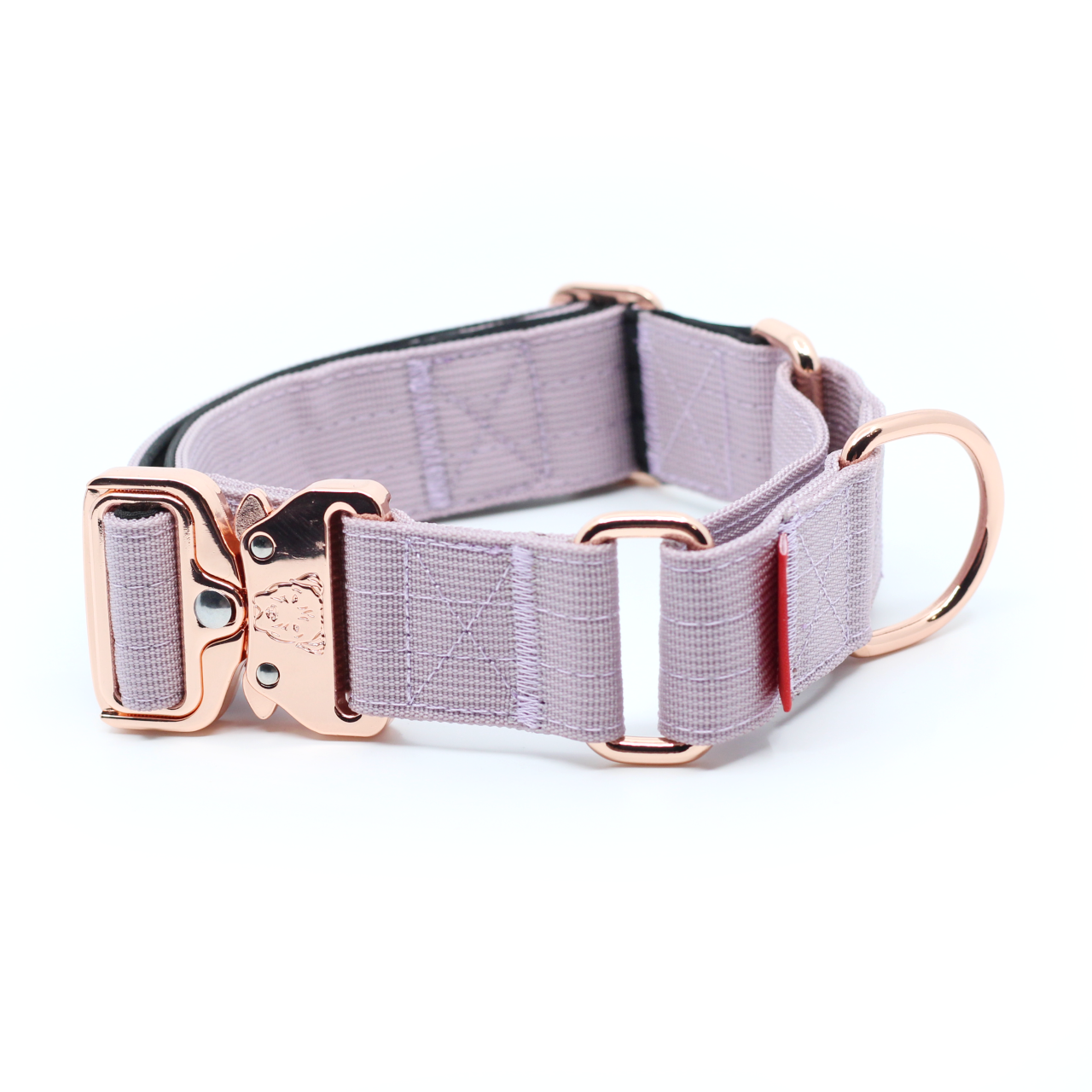 1.5" Luxe Martingale Dog Collar - Sofia